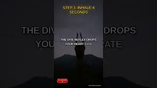 Stop Panic Attacks in 30 Seconds (Diver's Method)