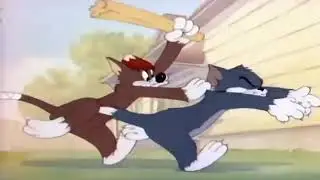 Meathead Cat Beat Tom (Sound Effect H-B)