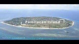 Philippines - Pamilacan Island Diving