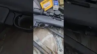 Banish 22 on a Ruger 10/22 Faxon Barrel with CCI 45gr Suppressor Ammunition