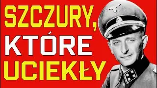 Szczury III Rzeszy: jak naziści uciekali przed karą i znikali bez śladu