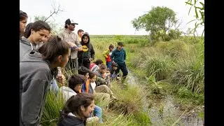 MITÃ. Corto documental de educación ambiental y plantas carnívoras. (SUB ESPAÑOL)