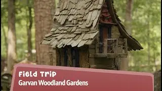 Garvan Woodland Gardens