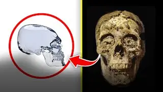 Unearthing ANCIENT SECRETS | Controversial Archaeological Discoveries