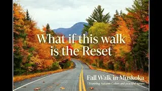 Fall walk in Muskoka/Stunning Autumn colors and peaceful nature