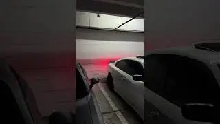 Cars #car #viral #mustang #shorts  #ShortsBoostWave #TrendFlipReeis #FastViralMode #instantReachShot