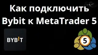 How to Connect Bybit to MetaTrader 5 - A Complete Guide
