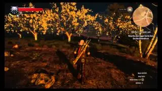 Contract The White Lady The Witcher 3