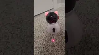 AUKL Cat Laser Toys for Indoor Cats, Motion Activated Interactive Cat Toys & Dog Toys Review, cat en