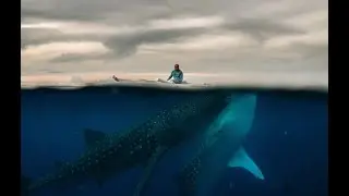 Песня 