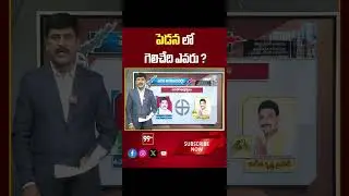 Pedana AP Election 2024 | AP Exit Polls 2024 | 99tv