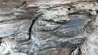 Prospecting for gold in green stone?