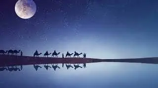 Dirk De Boeck - Silk Road Caravan