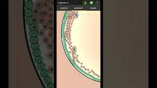 Cell Lab lvl 41 Digestion 2 Walkthrough