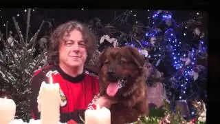 The Dog Rescuers Christmas 2014 Behind The Scenes