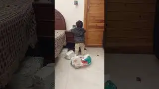 taleya distorted  the room things