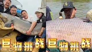 慌不慌！8个成年人都抱不动的巨物｜诸暨收鱼完美结束，感谢在现场帮忙的兄弟们