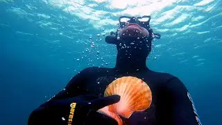 Freediving scallops in the Scottish Highlands