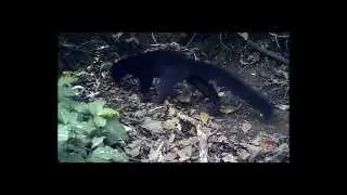 Tayras- Mom Knows Best