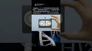 DNA Cassette Tape Can Store Every Song Ever Recorded