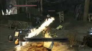 Dark Souls II - NG+ Tseldora Den Treasure Location