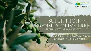 Chapter 6: a healthy crop, plagues and diseases