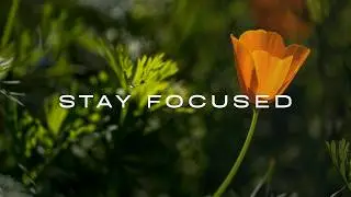 Deep Focus Music for Work & Study | Calm Background Sounds, No Distractions