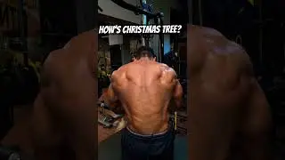 How&rsquo;s looking Christmas tree?  Back workout #gauravdavid #fitness #foryou #gauravdavid #sheruclassic