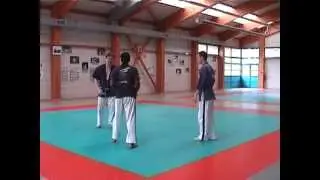 Happoken Godan 2ème série - Gérard LHOMME