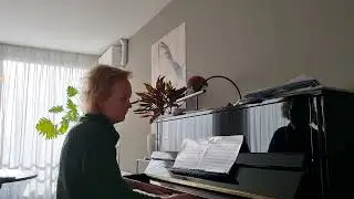 aforisme nr 2 Simeon ten Holt, snellere versie