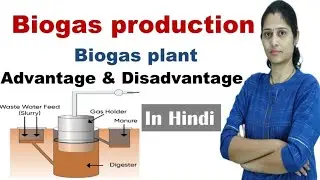 Biogas production | Gobar gas |  Methane production | Biogas plant | Biogas in Hindi