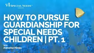 How to Pursue Guardianship for Special Needs Children