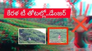 munnar tea estate #youtubevideo #travel #keralatour #indiantravel