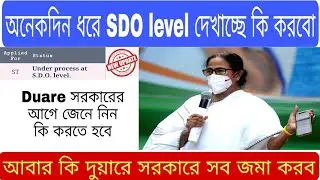 certificate at sdo level ! Caste certificate apply online