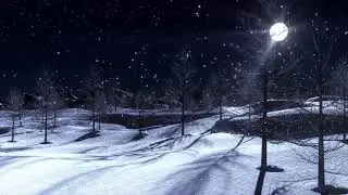 Time-Lapse: Snowfall | Drone Aerial View | Free stock footage | Free HD Videos - no copyright