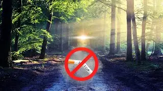 Stop Smoking & Feel Great  - Frequency music to heal you 🎵