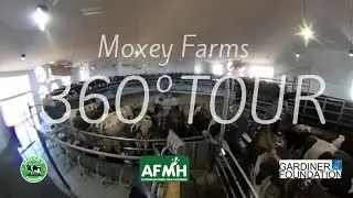 Moxey Farms 360&deg; Video Tour - Australia's Largest Single Site Dairy farming operation