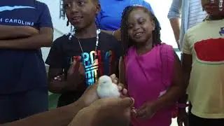 LiFEsports 2020 W.K. Kellogg Foundation Community Engagement Scholarship Award Video