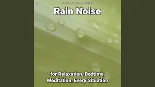 Splendid Ambient