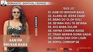 AAM DO BUSHAR BAHA SANTALI ALBUM | FULL AUDIO SONGS JUKEBOX | SUPERHIT SANTALI ROMANTIC SONGS | 2007