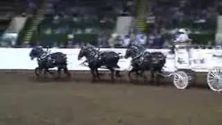Texas Thunder