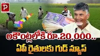 అకౌంట్లలోకి రూ.20,000 | AP Rythu Bharosa Amount Credited | CM Chandrababu Naidu | Telugu Popular TV