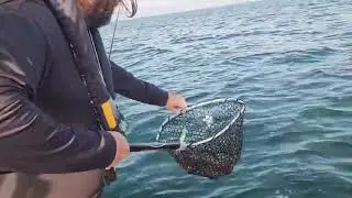 Bagged Out on Squid Epic Calamari Fishing at Wedge Split Werribee Sea | Land Based Fishing Australia