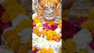 Ramdevra live darshan #ramdevpir #ramapir #ramdevra #runicha #ranuja #jayramapir #runicha