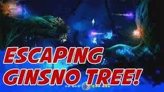 Ori and the Blind Forest : Ginso Tree Escape