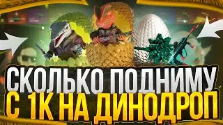 СКОЛЬКО Я ПОДНЯЛ НА ДИНОДРОП С 1К
