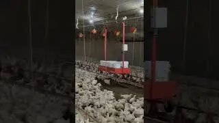 Farmhouse Trolley System