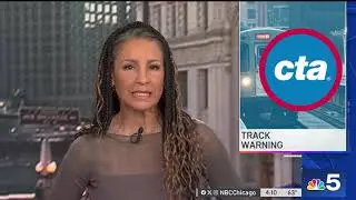 CTA issues reminding riders to stay off &lsquo;L' tracks
