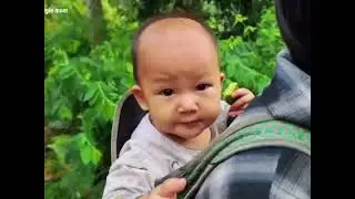 Life of an 18-Year-Old Single Mom  Picking Vegetables to Sell with Her Baby