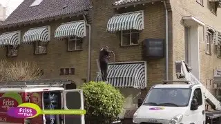 Friss voor Zonwering  - reinigen van zonweringen (markiezen, zonneschermen, rolluiken, parasols)